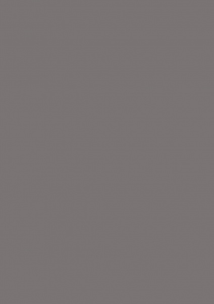 Fond Papier #04 Seal Grey 2,72 x 11m