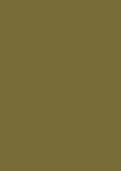 Fond Papier #10 Leaf 1,35 x11m