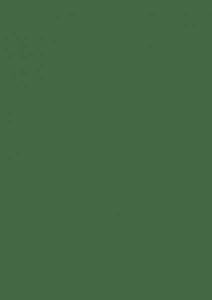 Fond Papier #12 Spruce Green 1,35* x 11m