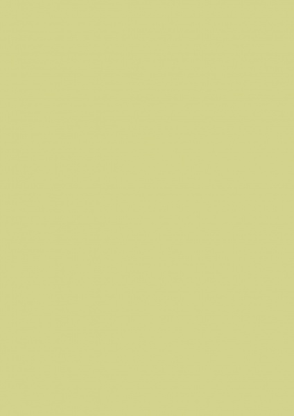 Fond Papier #13 Tropical Green 1,35 x11m