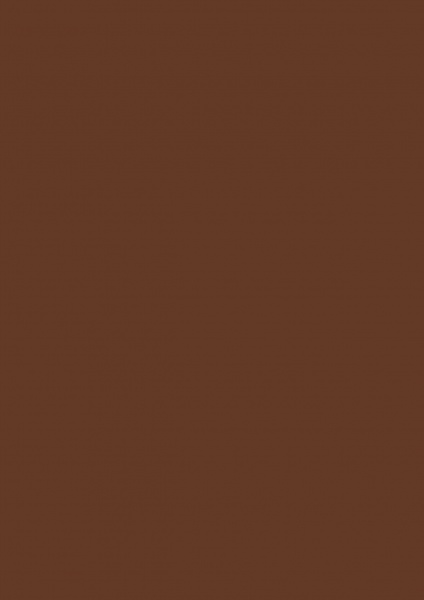 Fond Papier #20 Peat Brown 2,72 x 11m