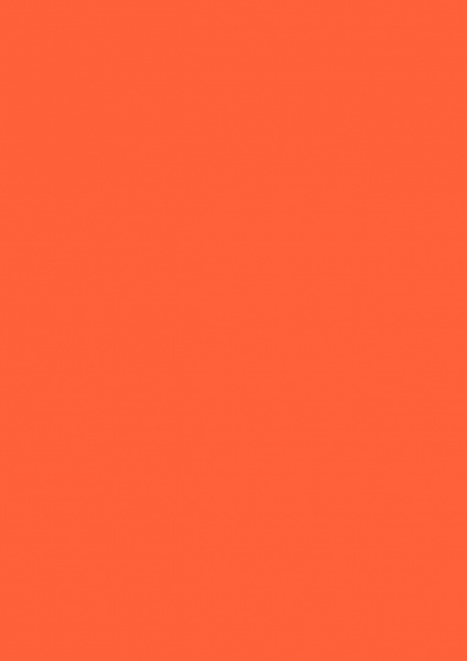 Fond Papier #39 Mandarin 2,72 x 11m