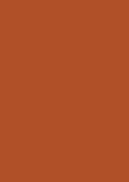 Fond Papier #48 Cedar 2,72 x 11m