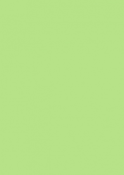 Fond Papier #63 Summer Green 1,35 x 11m