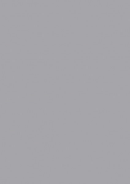 Fond Papier #05 Storm Grey 1,35 x11m