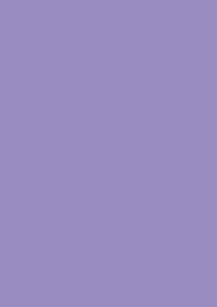 Fond Papier ##10 Lilac 2,72 x11m