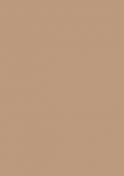 Fond Papier #11 Coffee 2,72 x11m