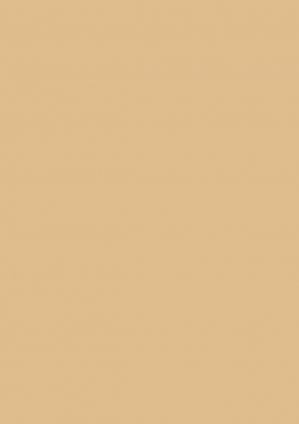 Fond Papier #14 Barley 2,72 x11m