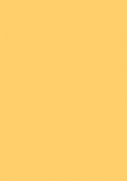 Fond Papier #31 Maize 2,72 x11m