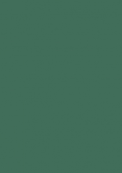 Fond Papier #37 Spruce Green 1,35 x11m
