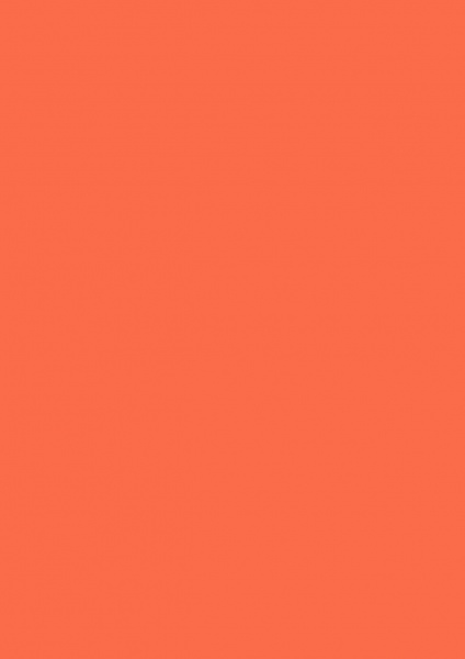 Fond Papier ##47 Pumpkin 2,72 x11m