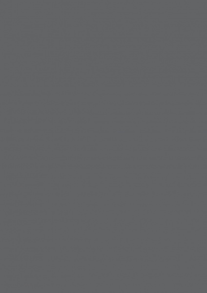 Fond Papier #49 Charcoal 2,72 x11m