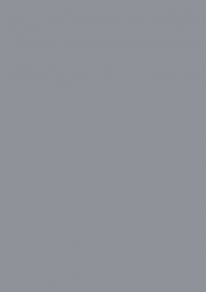 Fond Papier ##51 Mineral Grey 1,35 x11m