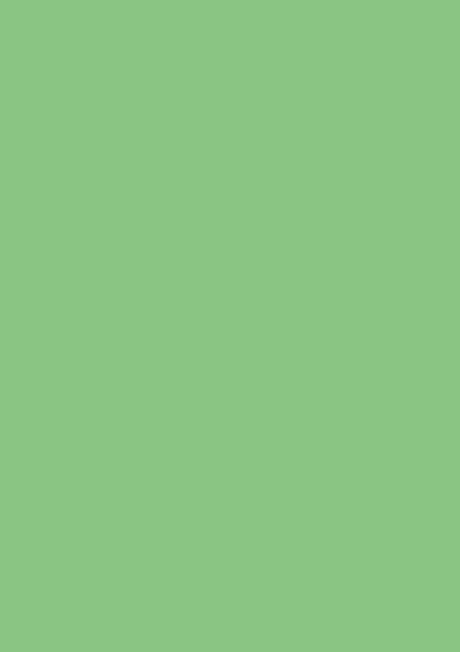 Fond Papier #59 Summer Green 2,72 x11m