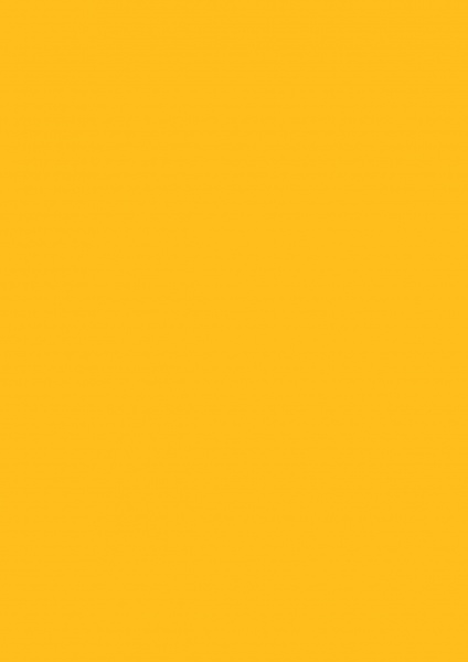 Fond Papier #70 Buttercup 1,35 x11m