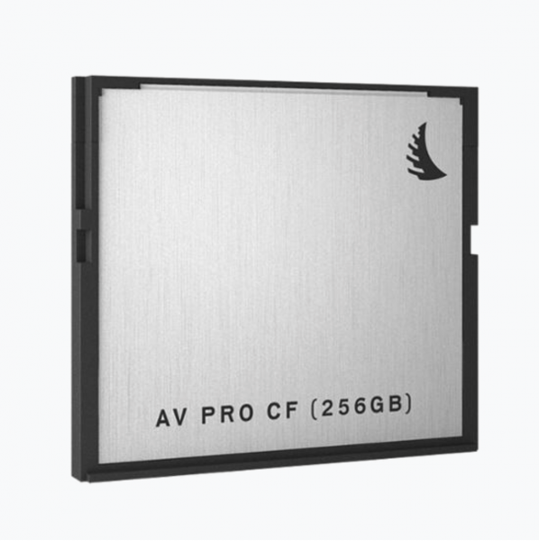 Carte mémoire AV Pro CFast 2.0 256Go 500Mo/s