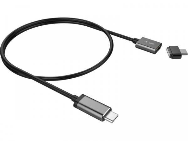 Câble de chargement 1,8m magnétique 100W USB-C gris sidéral