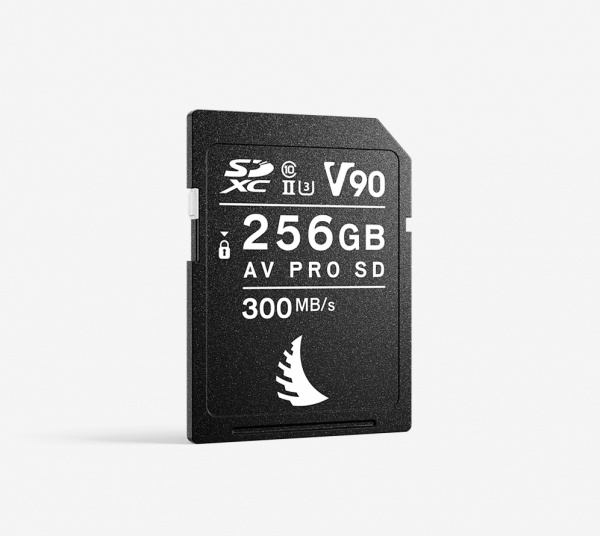 Carte mémoire AV Pro SD 256Go 300MB/s UHS-II V90